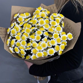 Букет "Моё солнышко" из 11 хризантем сантини  в Пересвете