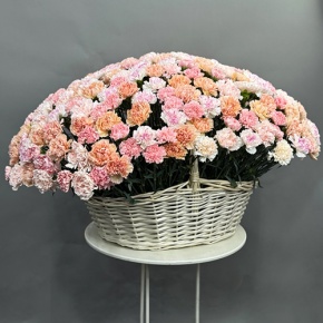 Композиция в корзине из 251 диантуса микс в Пересвете