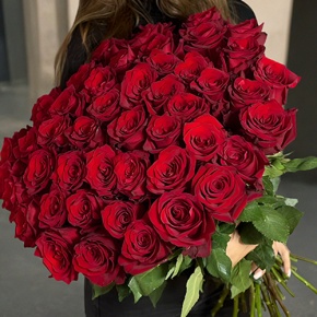 Букет 51 роза Эквадор Эксплорер (70 см) в Пересвете
