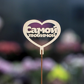 Топпер Самой Любимой в Пересвете