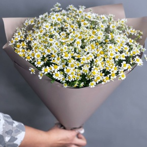 Букет из 17 ромашек танацетум в Пересвете