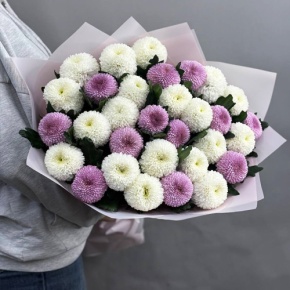 Букет из 31 хризантемы Момоко микс в Пересвете