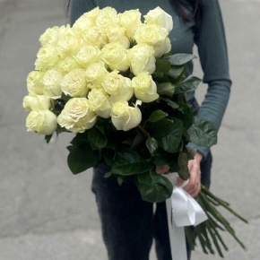 Монобукет из 25 роз Эквадор Мондиаль (80 см) в Пересвете