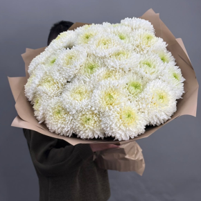 Букет из 27 хризантем Магнум в Пересвете