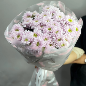 Букет "Нежный комплимент" из 9 кустовых хризантем в Пересвете