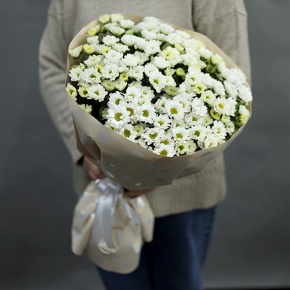 Букет "Милая моя" из 17 хризантем сантини в Пересвете