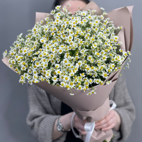 Букет из 17 полевых ромашек в Пересвете
