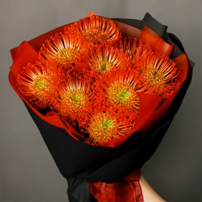 Букет из 9 лейко в Пересвете