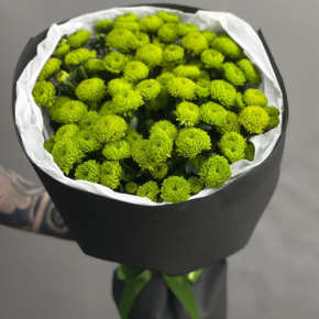 Стильный букет "Лайм" из 15 хризантем сантини в Пересвете