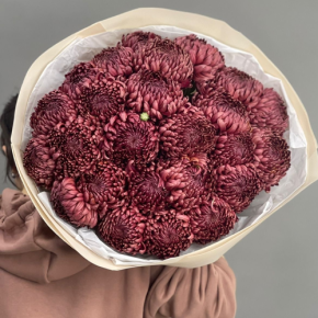 Букет 21 шоколадной хризантемы Бигоуди в Пересвете