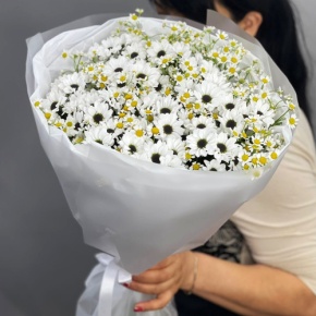 Букет "Понарошку" из хризантем сантини и ромашек в Пересвете
