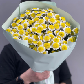 Букет "Моё солнышко" из 17 хризантем сантини  в Пересвете