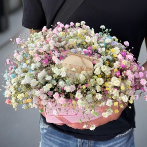 Композиция в коробке сердца из радужных гипсофил с топпером в Пересвете