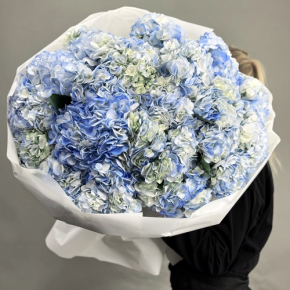Букет из 23 синих гортензий в Пересвете