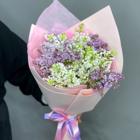 Букет из 11 веток сирени микс в Пересвете