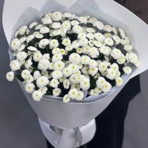 Букет "Белая дымка" из 25 хризантем сантини в Пересвете