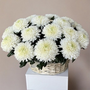 Композиция в корзине из 25 хризантем Магнум в Пересвете