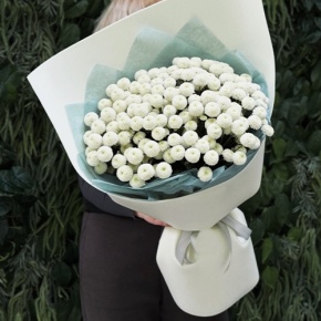 Букет из 25 хризантем Ньютон в Пересвете