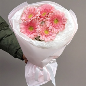 Букет из 5 розовых гербер мини в Пересвете