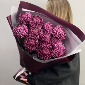 Букет "Изобилие" из 11 винных хризантем Бигоуди в Пересвете