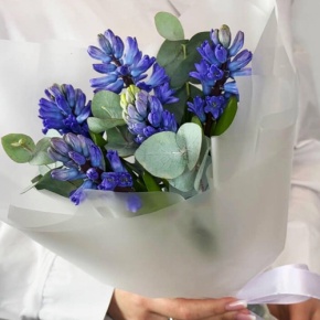 Букет "Мини" из 5 ароматных гиацинтов и эвкалипта в Пересвете