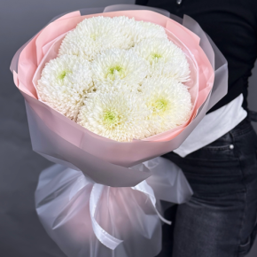 Нежный букет из 7 хризантем Магнум в Пересвете