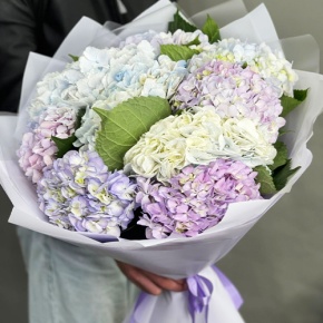 Букет из 9 Голландских гортензий микс в Пересвете