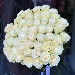 Букет из 51 розы Эквадор Мондиаль под ленту (80 см) в Пересвете