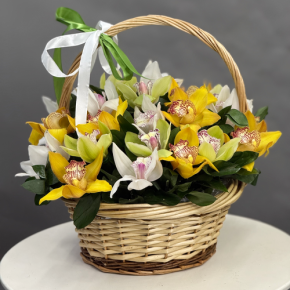 Композиция в корзине из 25 орхидей микс в Пересвете