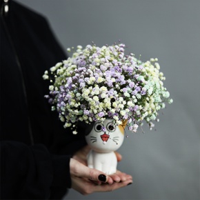 Композиция из гипсофил в керамическом кашпо в Пересвете