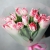 Букет "Фламинго" из 11 пионовидных тюльпанов в Пересвете