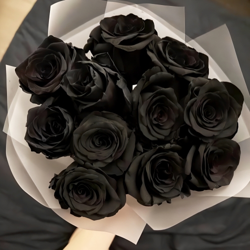 Букет "Черная королева" из 11 черных роз Эквадор (60 см) в Пересвете