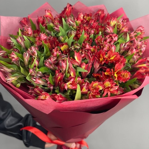 Монобукет из 25 красных альстромерий в Пересвете