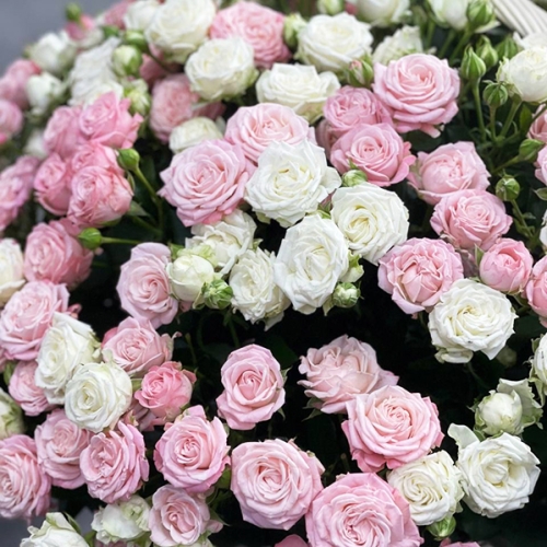 Композиция в корзине из 101 кустовой пионовидной розы в Пересвете