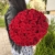 Букет 51 красной розы 50 см в Пересвете