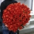 Букет 101 коралловая роза (60 см) в Пересвете