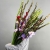 Букет из 25 гладиолусов микс в Пересвете