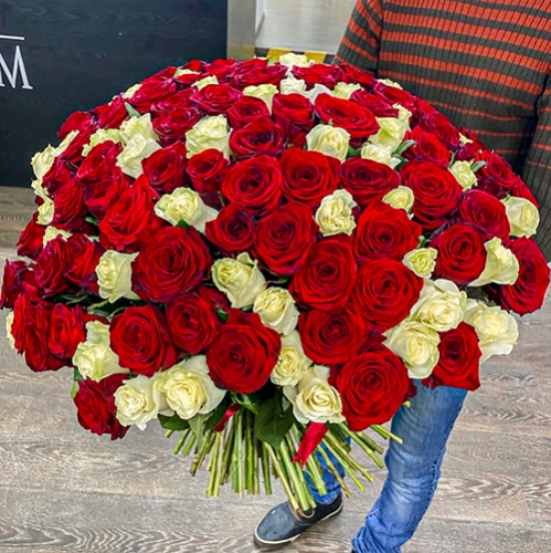 Букет 151 роза красный и белый микс (60 см) в Пересвете