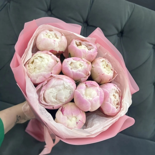 Букет из 9 нежных пионов Гардения в Пересвете