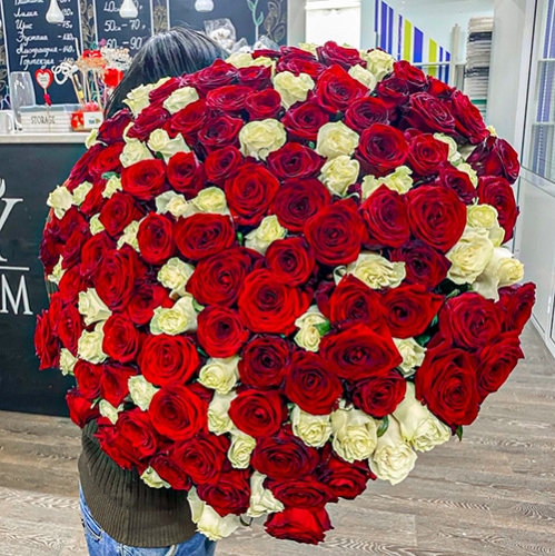 Букет 151 роза красный и белый микс (60 см) в Пересвете