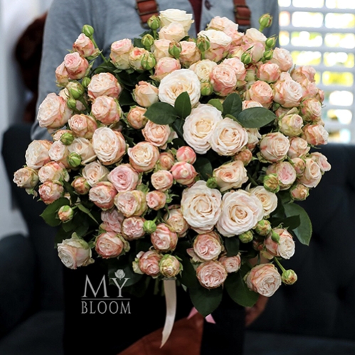 Букет 51 пионовидная роза Бомбастик (60 см) в Пересвете