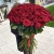 Букет из 101 красной розы (90 см) в Пересвете