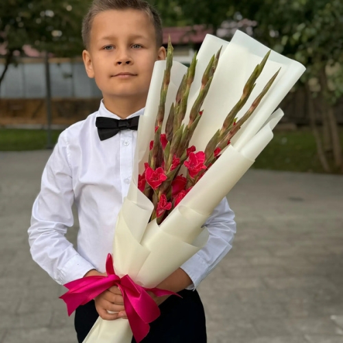 Букет на 1 сентября из 7 малиновых гладиолусов в Пересвете